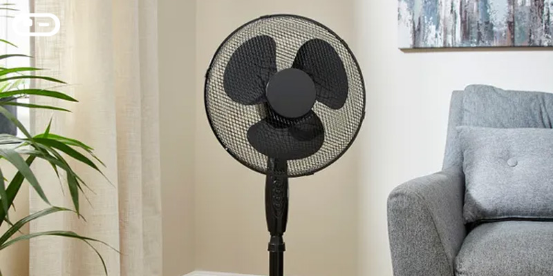 تعداد و جنس پرهها