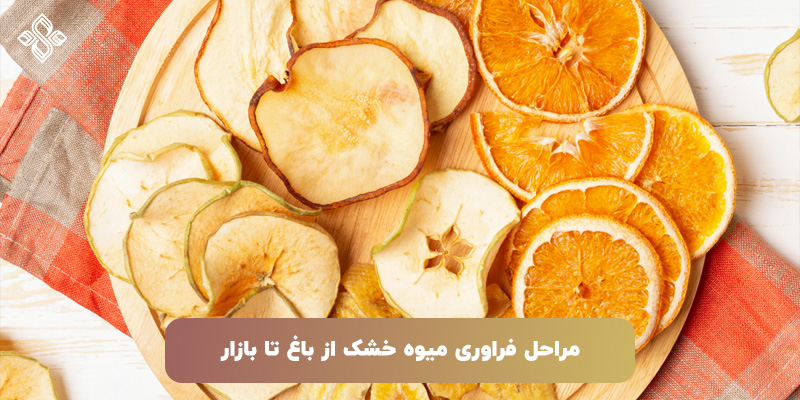 مراحل فراوری میوه