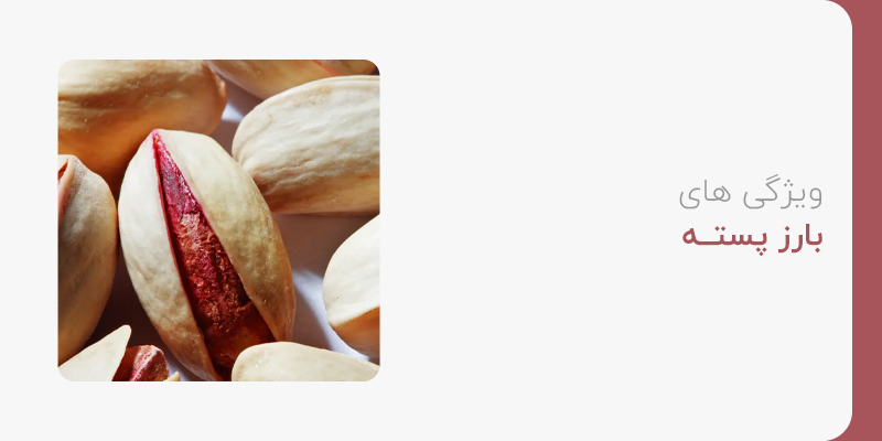 ویژگی های پسته