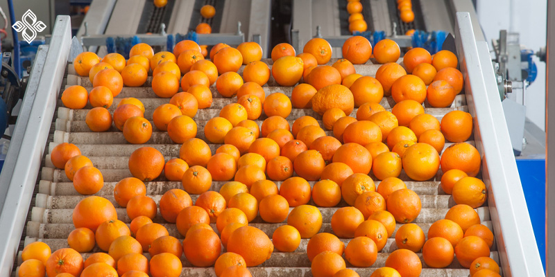 شستوشوی میوه ها