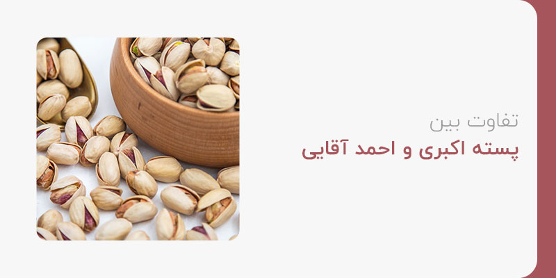 تفاوت بین پسته اکبری و احمد آقایی