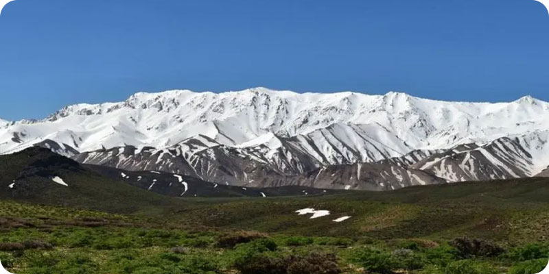 قالی کوه